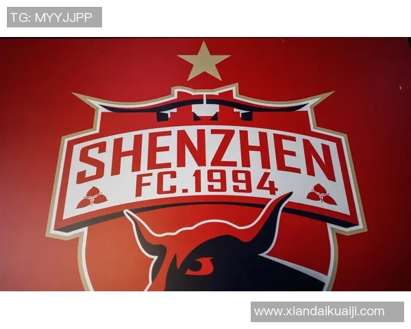 深圳排球队状态解析：聚焦球队表现与未来发展趋势