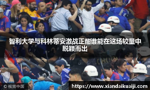 bellbet贝博官网